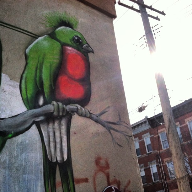 1302-SA-Bushwick-Bird-Sun