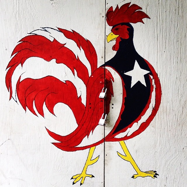 1405-SA-Bushwick-Rooster