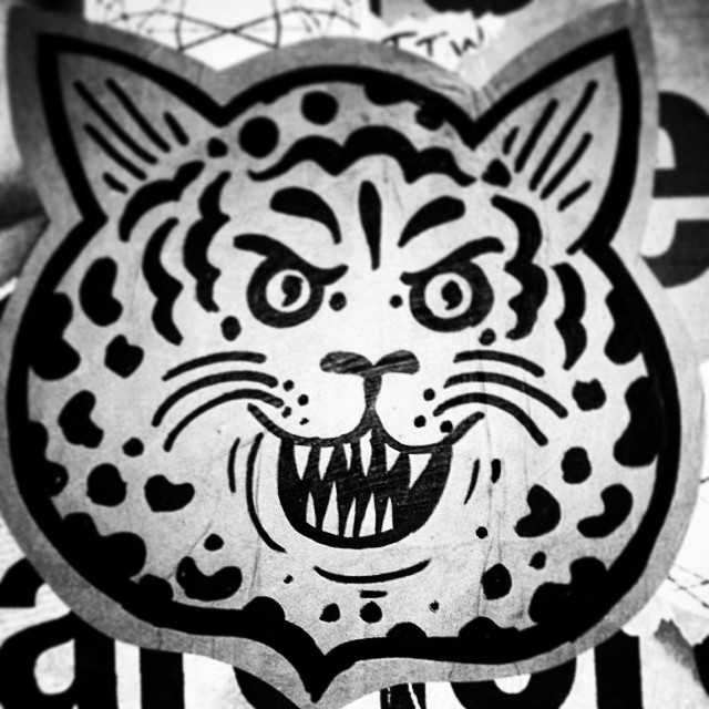 1407-SA-Bushwick-Steiner-FatCat