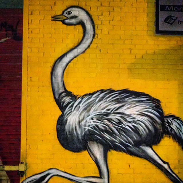 1410-SA-Bushwick-Kremen-Ostrich