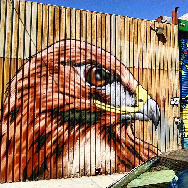 1504-SA-Bushwick-Eagle