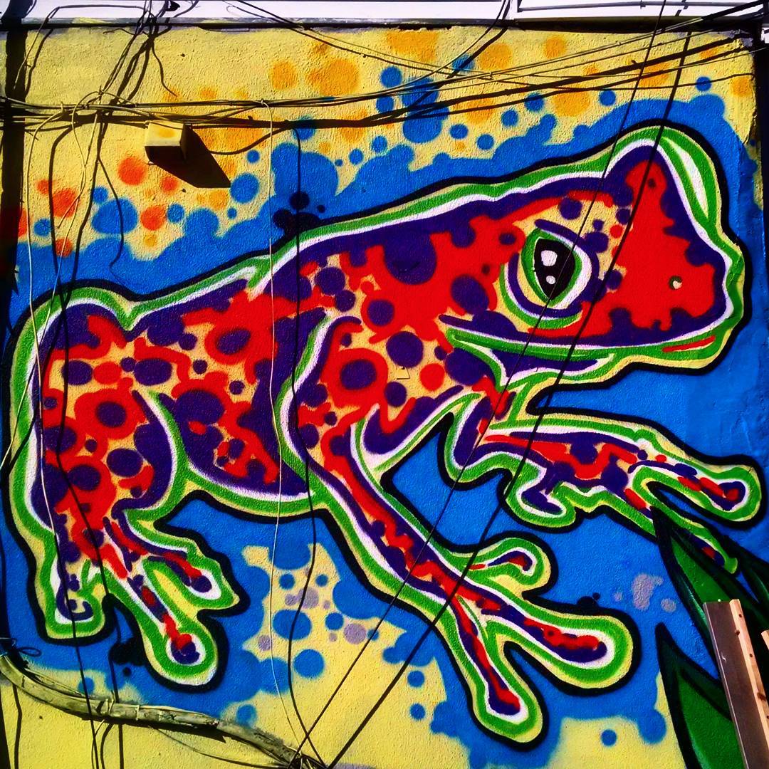 1512-SA-Bushwick-Fumeroism-Frog