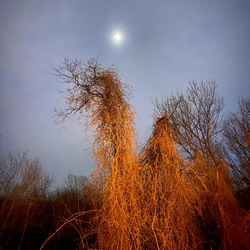 2101-PL-Ridgewood_Reservoir-Moon